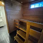 Ikaalinen Onnela Ja Pikku Onnela Villa *