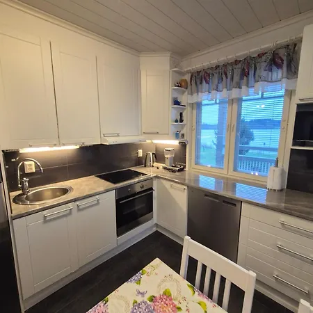 Ikaalinen Onnela Ja Pikku Onnela Villa