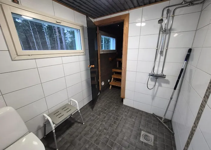 Ikaalinen Onnela Ja Pikku Onnela